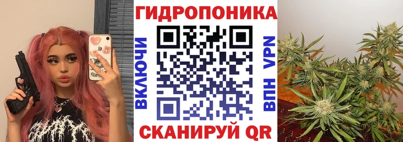 Конопля план  darknet Telegram  Карталы  где купить наркотик 